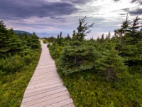 Skyline Trail, Cape Breton Highlands National Park
